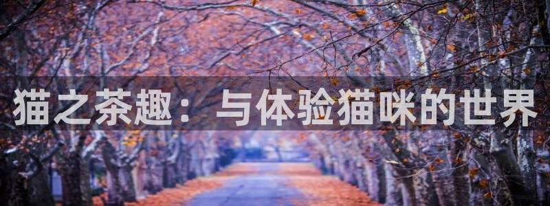 酷漫屋app官方入口